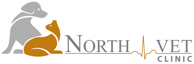 logo_footer
